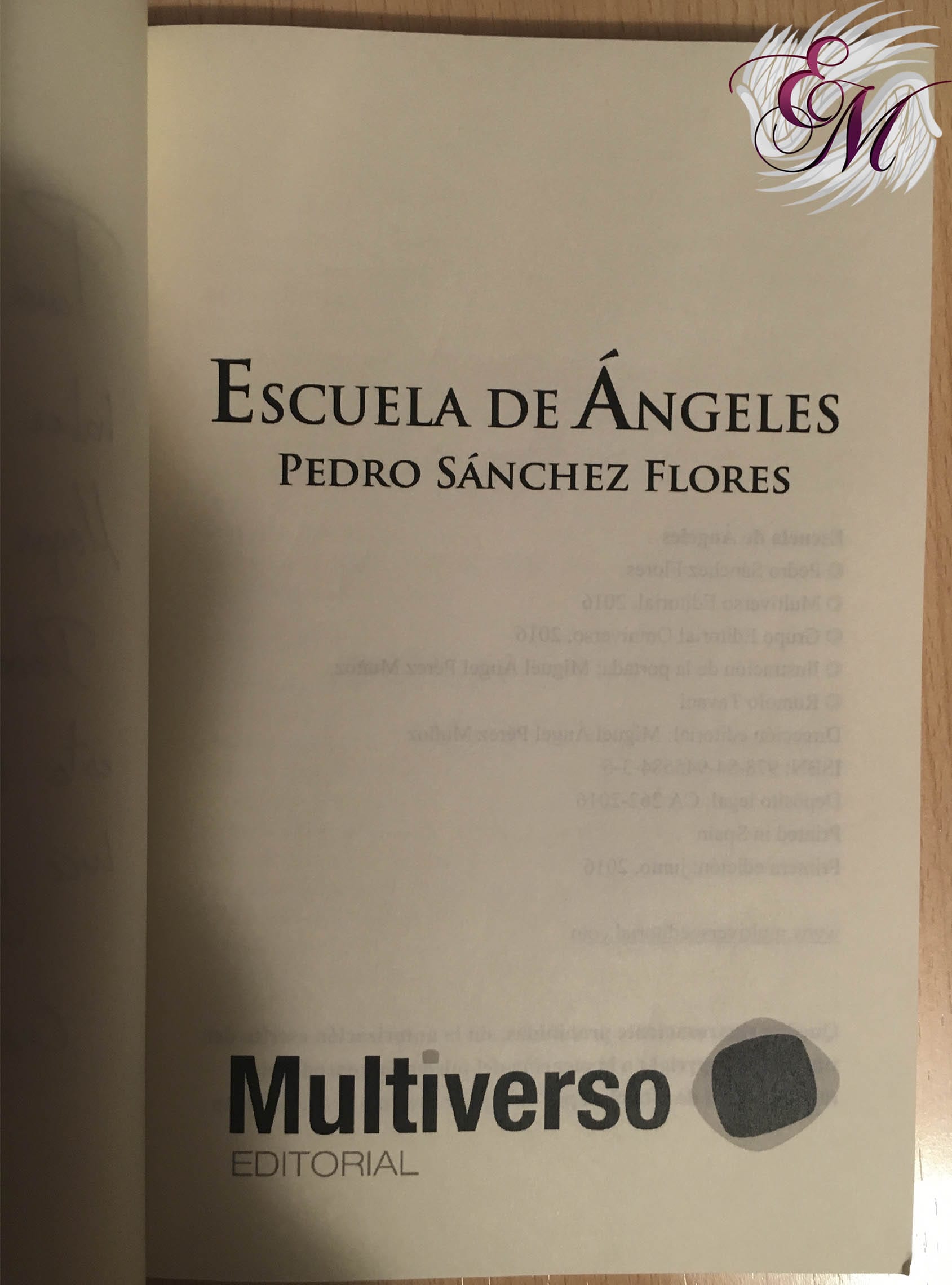 Escuela de Ángeles, de Pedro Sánchez Flores - Reseña