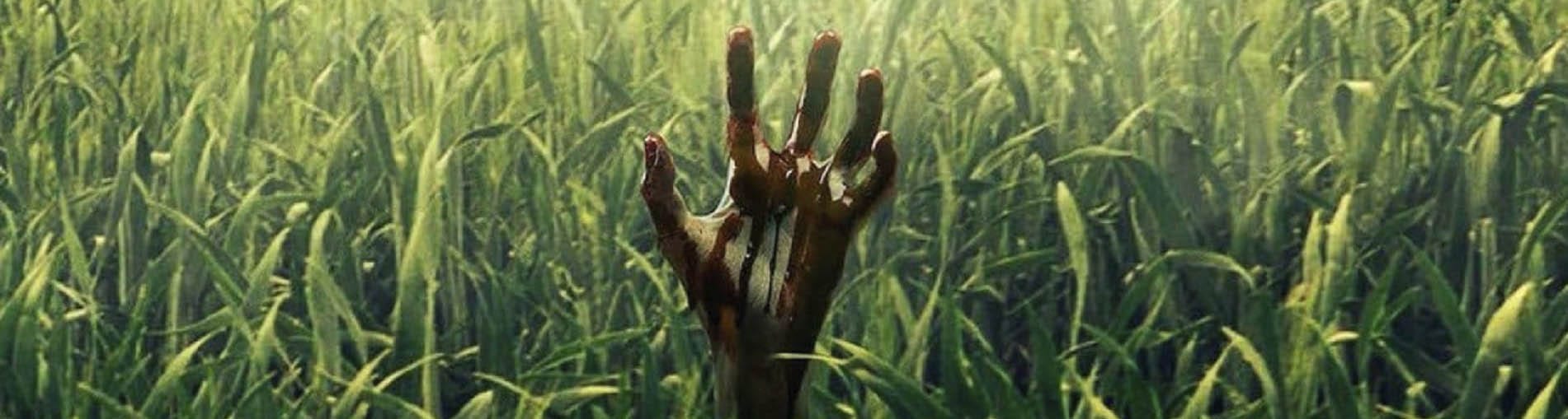 En la hierba alta – Crítica de cine