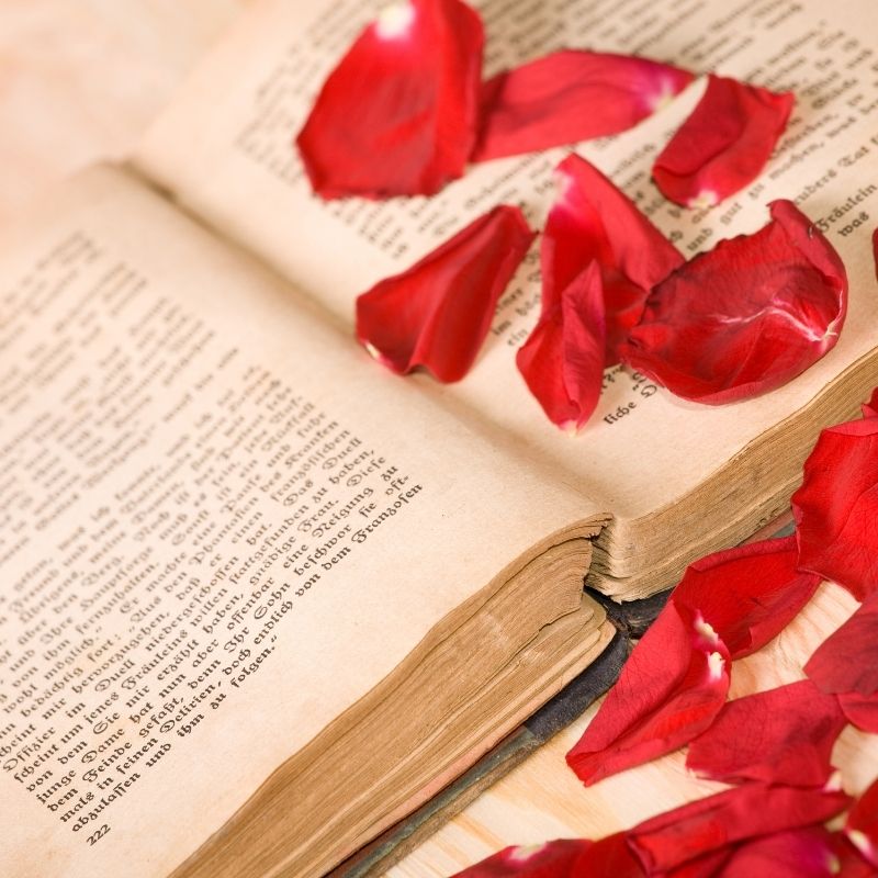 Libros de amor para regalar en San Valentín